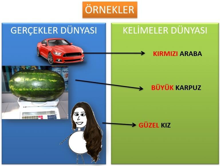 Sıfatlar, karşılaştırma sıfatları, aitlik sıfatları (possessive adjectives)